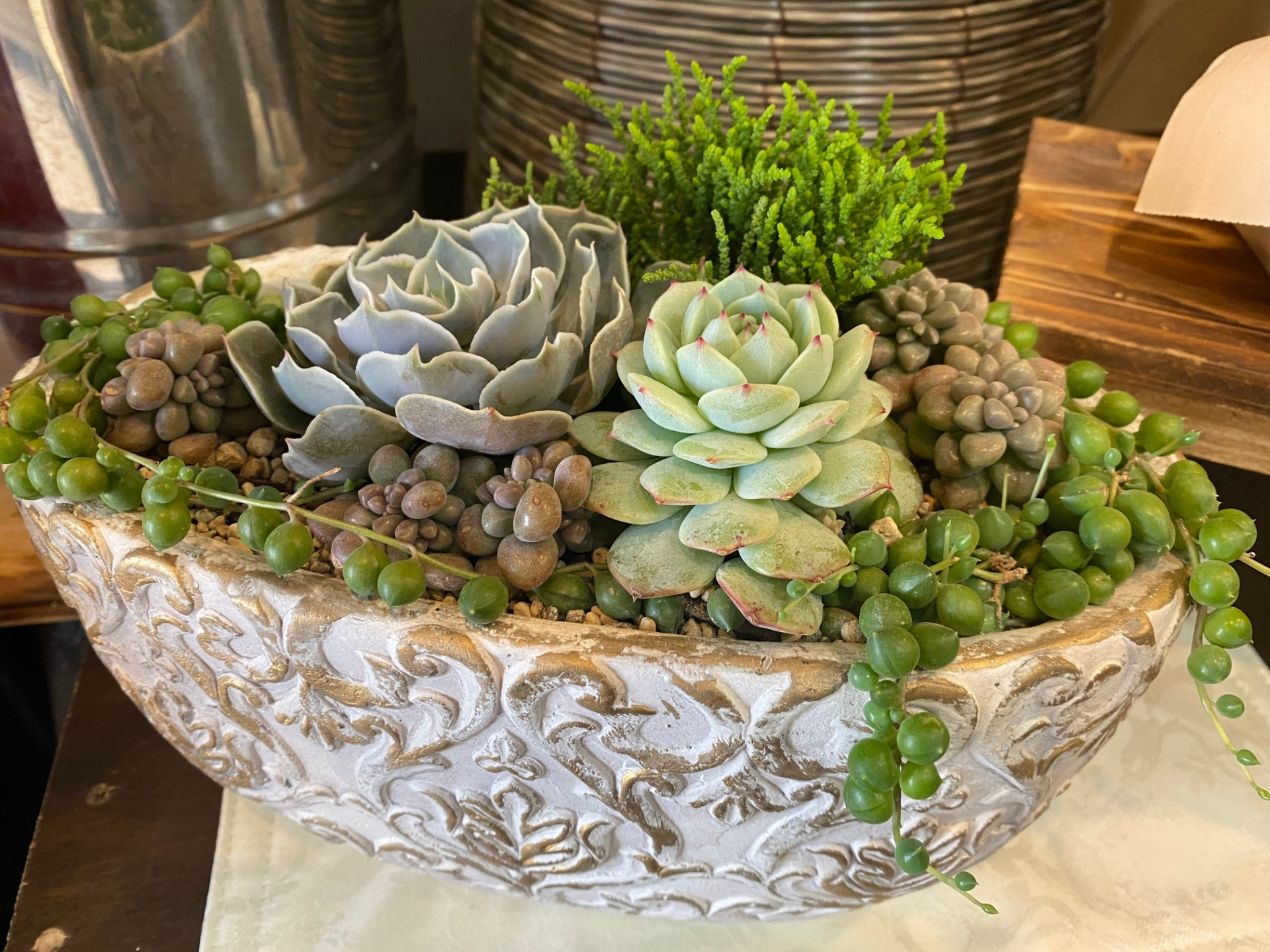 多肉植物の寄せ植え