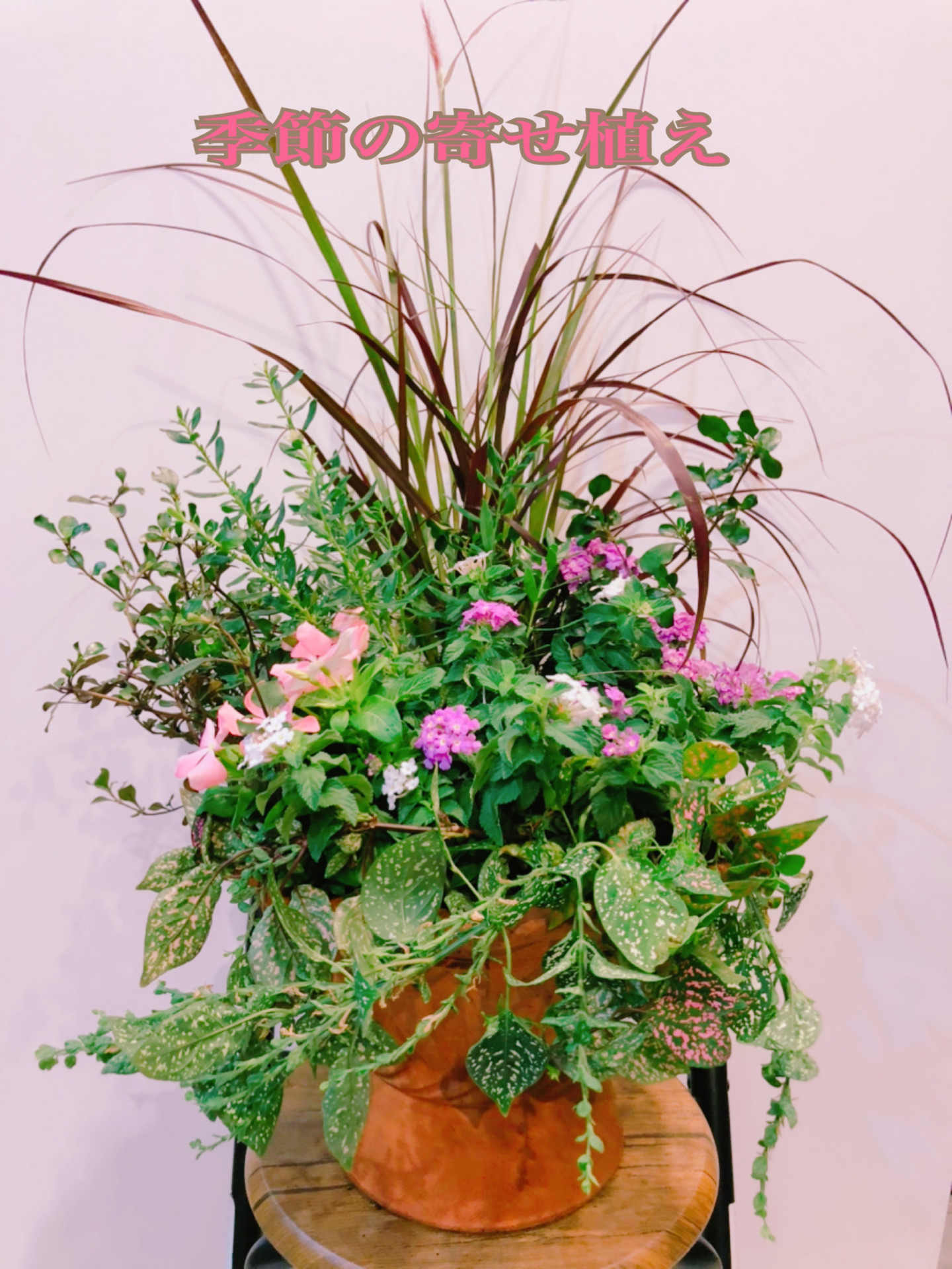 御祝い　プレゼント